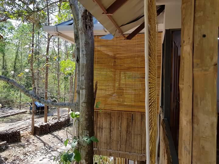 Ponmudi Valley Resorts Exterior photo