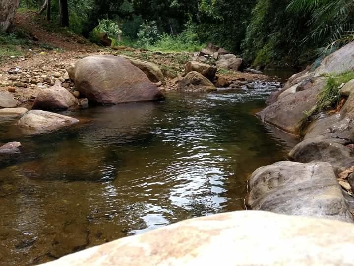 Ponmudi Valley Resorts Exterior photo